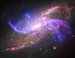 just&ndash;space:  The spiral arms of bright, active galaxy M106 /NGC 4258 sprawl through this remarkable multiwavelength portrait, composed of image data from radio to X-rays, across the electromagnetic spectrum.  js