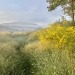 geopsych:geopsych:Even as I stood there this looked fictional.September and November, looking across the lake from the same spot.