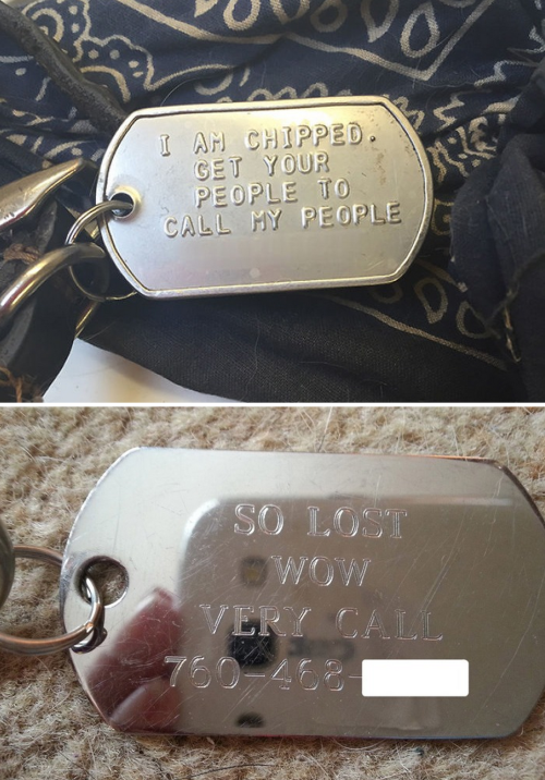 fat-on-purpose:tastefullyoffensive:  Funny Pet Collar Tags (photos via Bored Panda)Related: Cats and Dogs Growing Up With Their Toys   It is weird that most of these apply to me too?