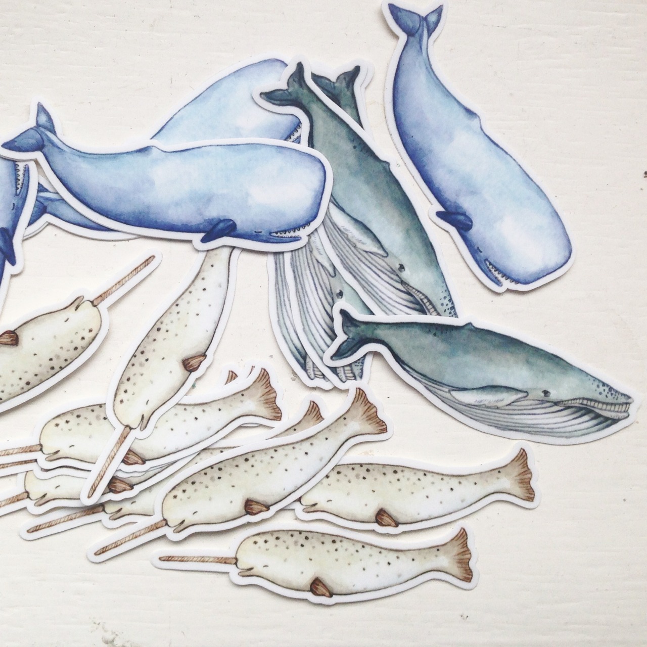 brookeweeberillustration:  Whale stickers are now available in my shop!  
