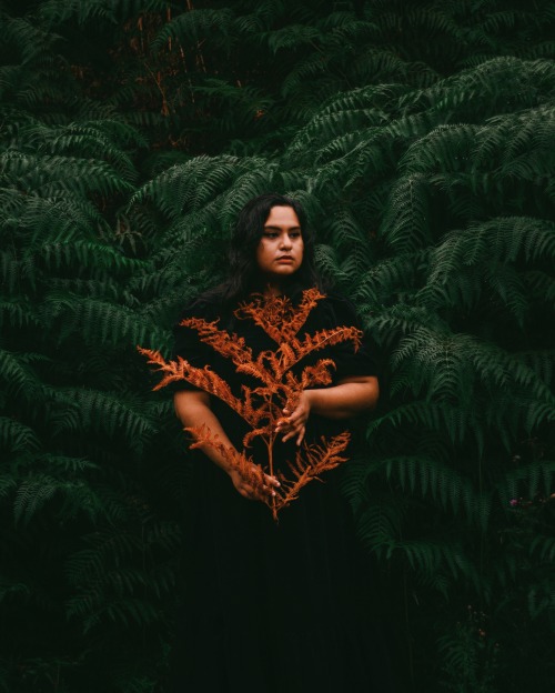 Have you seen the fern witch? In woodlands old under stormy skies, wreathed in mist and rain she dwe