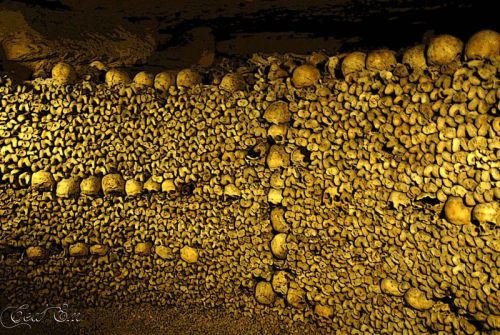 Porn Pics negativnein:  Catacombs of Paris 