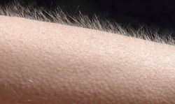 sixpenceee:  Goosebumps are a remnant of