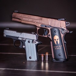 gunsdaily:  @liveasif What’s your favorite caliber?