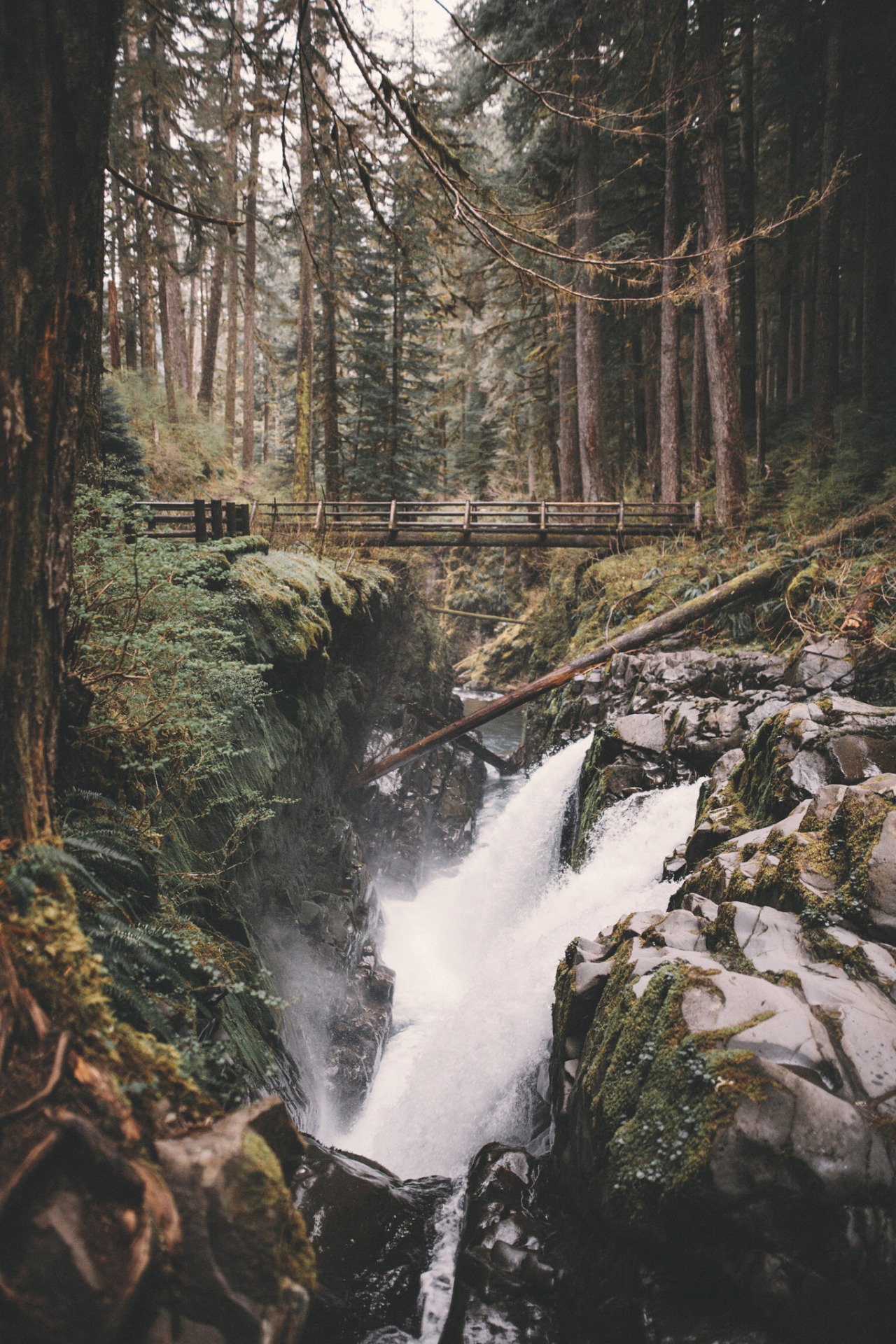 banshy:  Sol Duc Falls // Alex Bailey 