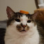 crummygoblin13