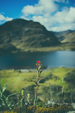 diegojpradof:    Cada detalle cuenta 3.0 │Momentos Fotografía │Instagram   