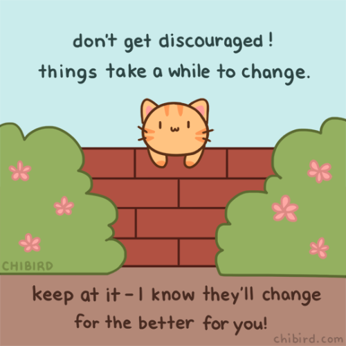 chibird:A cat climbed over the wall just to tell you this! It must be important.Webtoon | Patreon | 