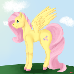 duceraslittleblog:  Fluttershy for http://ask-confident-fluttershy.tumblr.com/