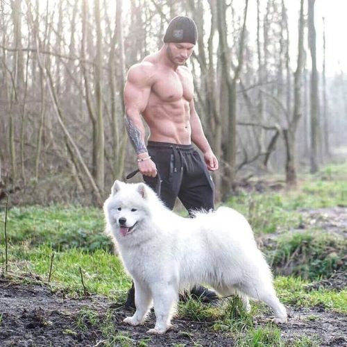 tavi-castro:  Wolf Aesthetics ✖➕✖ @yukiwolfbear