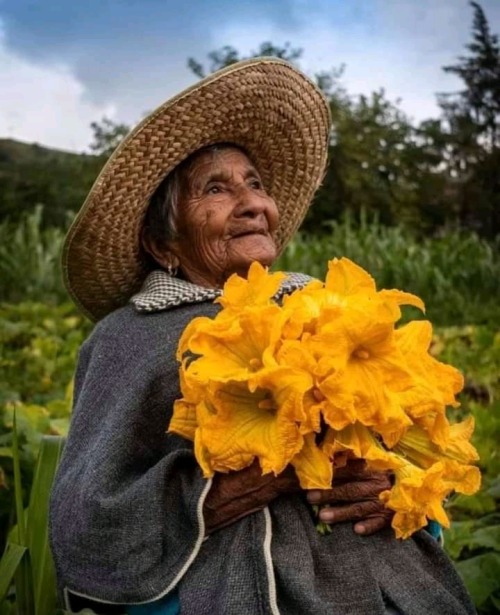 mexi-cool:Estrella de oro, la flor de calabaza adult photos