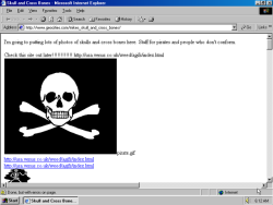 oneterabyteofkilobyteage: original url http://www.geocities.com/mikes_skull_and_cross_bones/