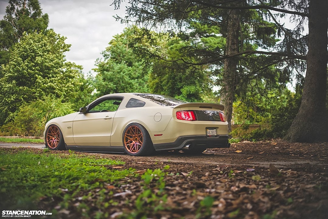 tunedandracecars:  Ford Mustang 