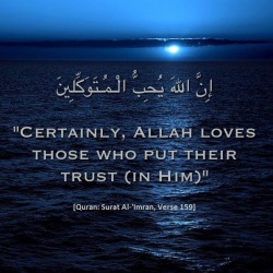 searchingforjannah: