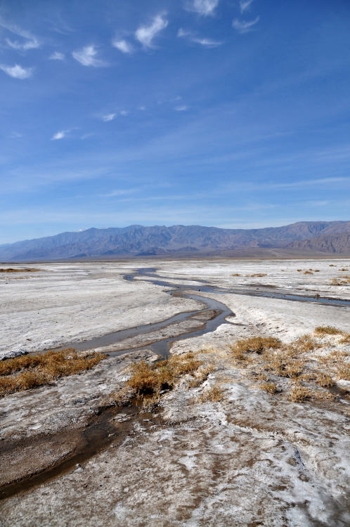 Salt crust in Death Valley