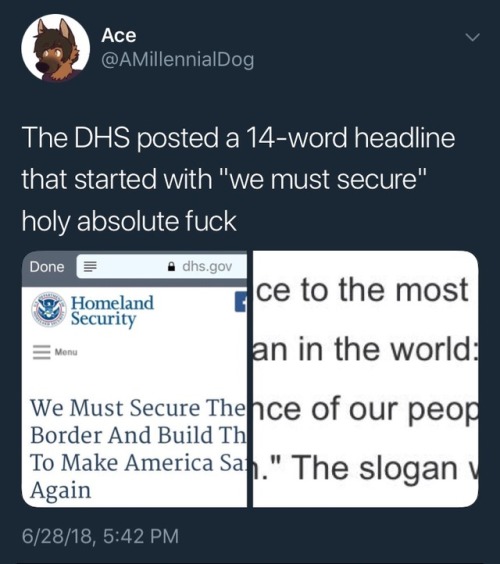 clayandsorcery: corporationsarepeople: @amillennialdog on twitter: The DHS posted a 14-word headline