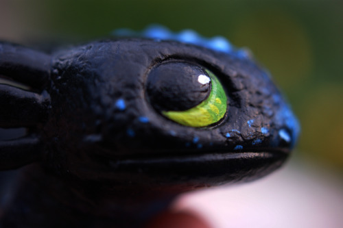 cerviceps:I also found this $5 toothless figurine at target and it was already pretty cute but I wen