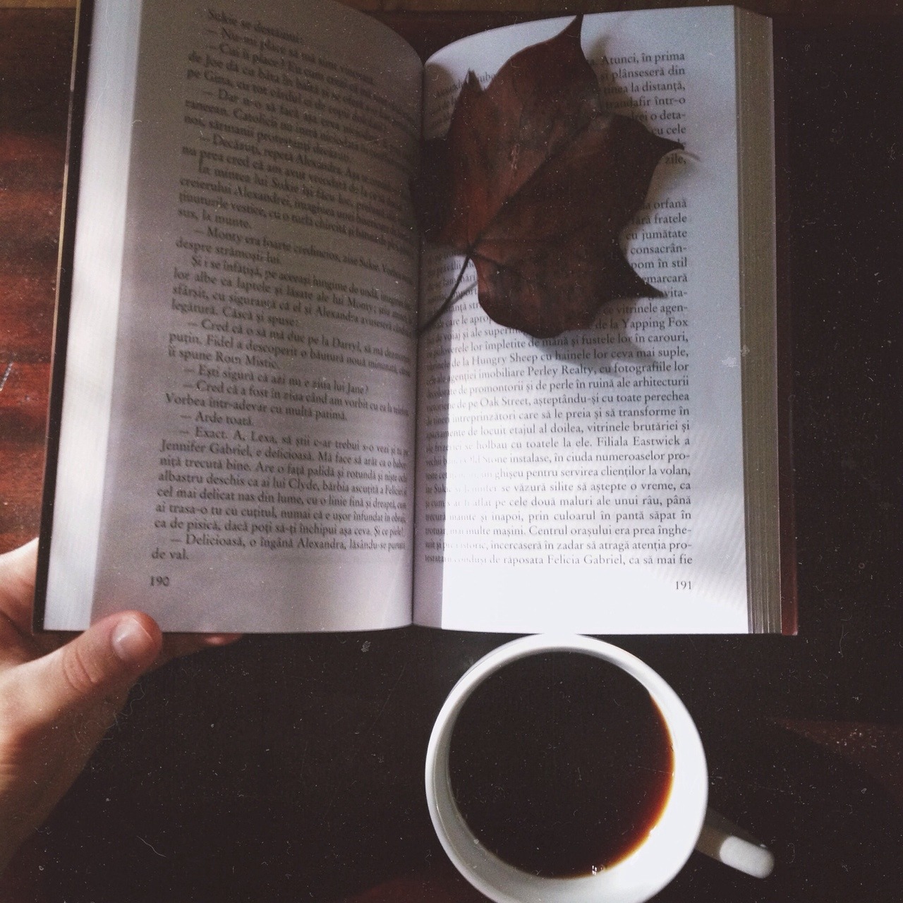 moon-sylph:  Ready for crisp autumn mornings 