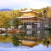 chitaka45:雪の朝　籠の中の世界遺産　❄️金閣寺❄️Kinkakuji temple with snow 