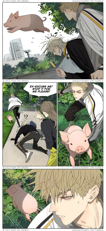 miamaymarry:THE GAY PANIC!! IT’S HAPPENING EVRYONE!!How hillarious is the pig OMG Title is “Piggy”Th