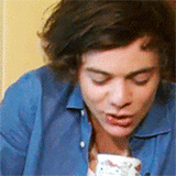 yeol:  Harry “what did we win?” Styles 