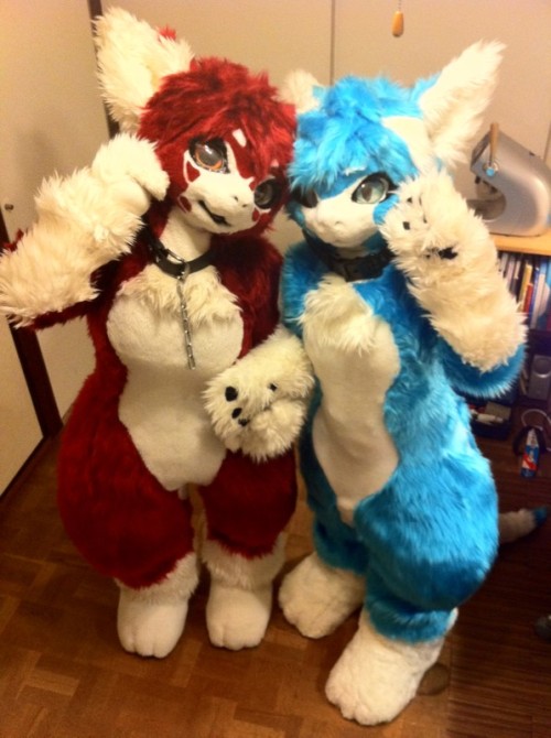 i know i’ve posted these guys before but i love em not a fan of fursuits in general but kemono fursuits are so cool