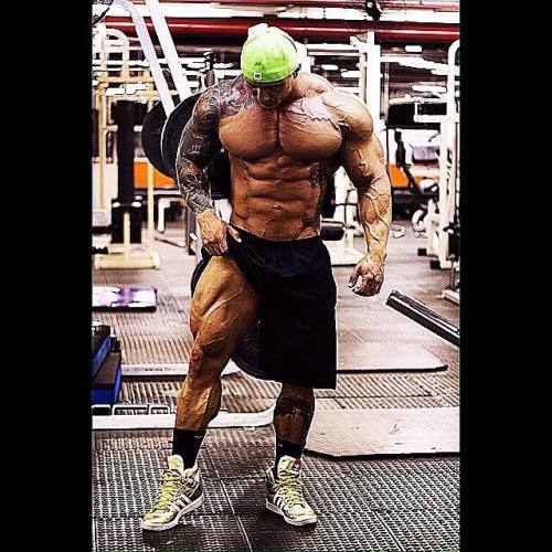 needsize:  Fabio Giant
