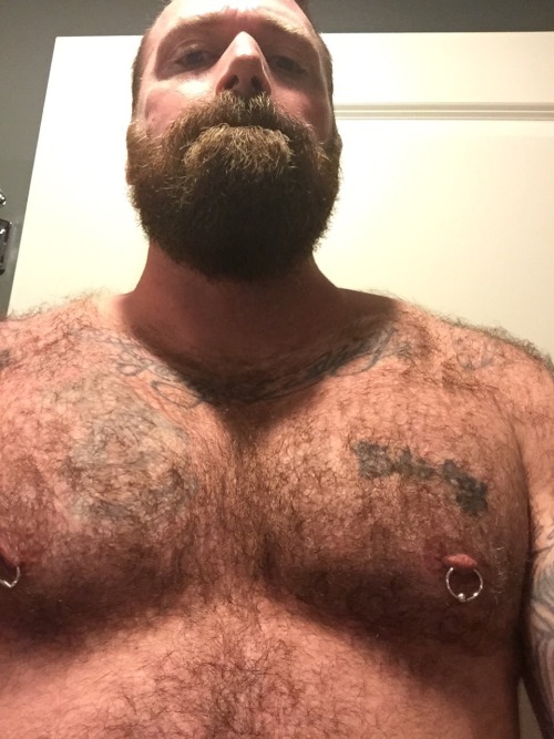 koxzucker:  Fucking hairy stud.   Come here Daddy