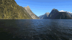 panajan:    The waters of Fiordland, New Zealand.OC - from a video (i.imgur.com)     i miss new zealand 😫