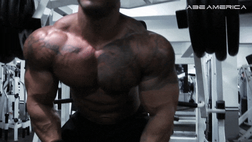 fanomuscle:  Bruno Moraes Cunha 