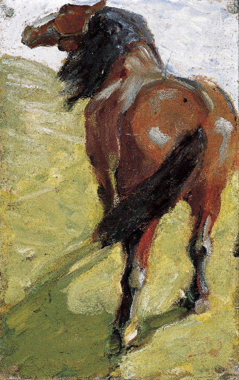 Franz Marc, Study of a horse, 1908/09, Oil on canvas. Collection Kracht, Kunstmuseum Moritzburg