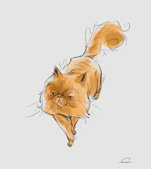 A quick sketch of Crookshanks, Hermione’s asshole cat.EDIT: Added some gestures for this little fell
