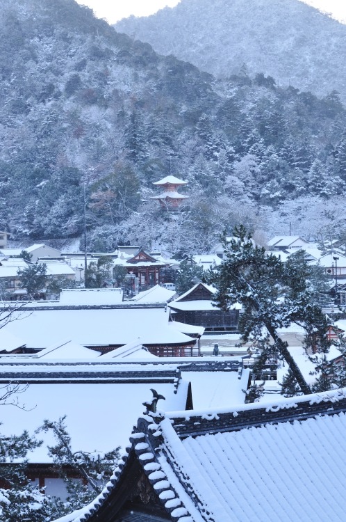 yomemaru: Winter Miyajima Island (Two-storied Pagoda)  17 December, 2014.  Nikon D300 宮島の雪