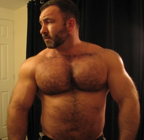 Sex Love Bear Daddy pictures