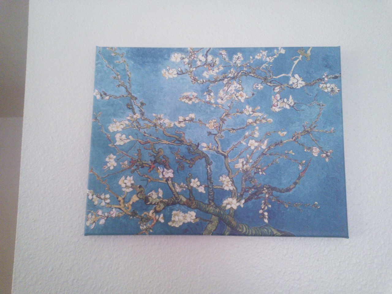 My reproduction of Van Gogh’s Almond Blossoms came today!!!! I’m going to order