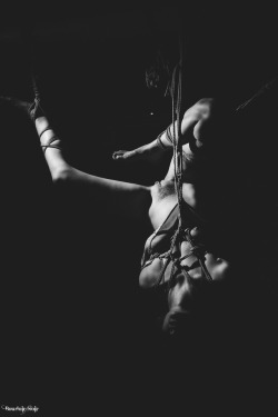 boshai:  Tangled. Exposed.   Quincy, February 2018   Rope by Mr Jay, photography by BoudoirNoir