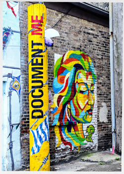 swanksalot:  Document Me - artist(s) unknown. Alleyway off of 18th St., Pilsen, Chicago - embiggen by clicking here:http://bit.ly/14iR8er I took this photo on June 23, 2013 at 06:39PM 