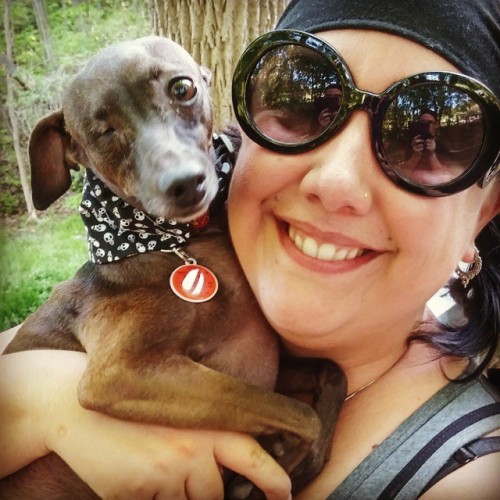 Hiking! #Annai #italiangreyhound #oneeyeddog #offasdykepath #waterdown