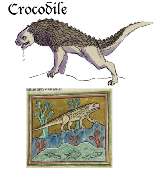 archaeologysucks: cryptid-coyote: new art meme: redraw crappy medieval artwork of animals These are 