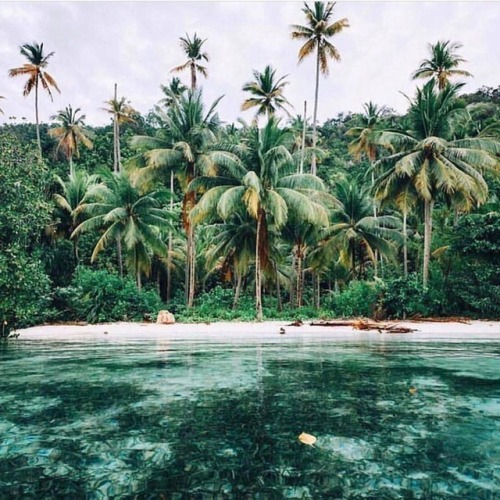 Days spent here #tropics #daydream