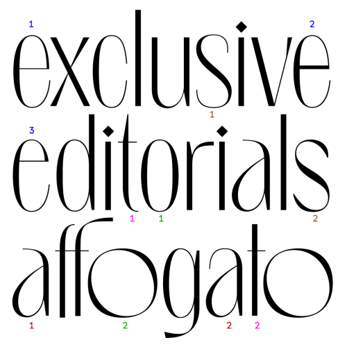 Introducing LOGGIA, a super stylish typeface packed with fancy ligatures and alternates. Designed by