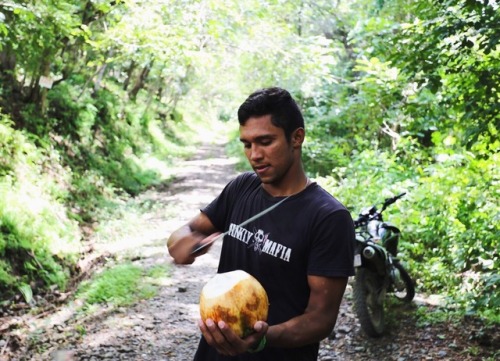 summersenstations: Coconuts in Costa Rica