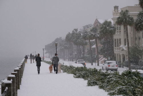 ❄️ Snow in the South ❄️Last week’s snow storm rocked the southern United States. While the bomb cycl