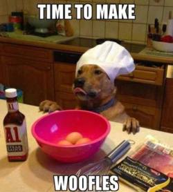 georgetakei:  This recipe was RUFF. Source: