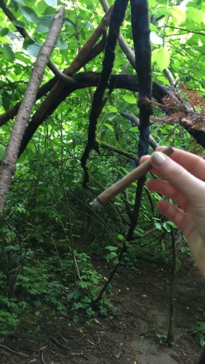 who-areyou-inside: Spooky blunts in the woods