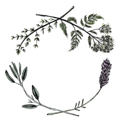 sarahmould:  Yarrow, sage, lavender, thyme healing wreathBuy prints/products