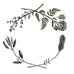 Sarahmould:  Yarrow, Sage, Lavender, Thyme Healing Wreathbuy Prints/Products