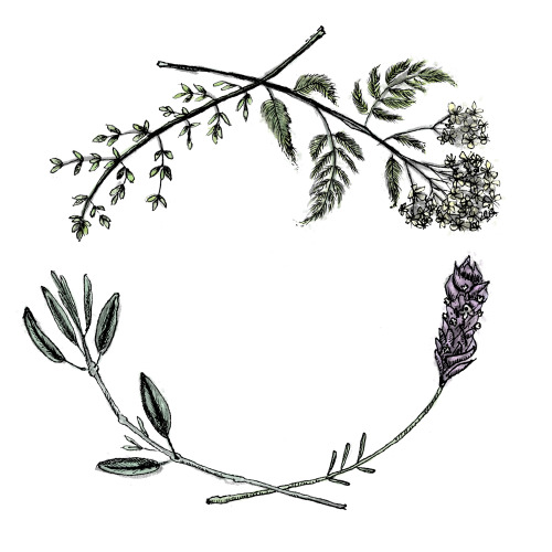 Yarrow, sage, lavender, thyme healing wreathBuy prints/products