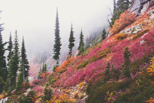 Fall, Colors and Clouds by Tedrick Mealy