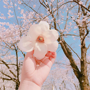 doriimer:ig: __pink_tape